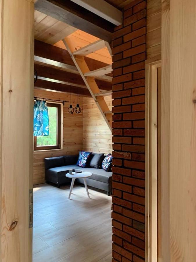 Villa Nad Czarna Sielpia Wielka Esterno foto