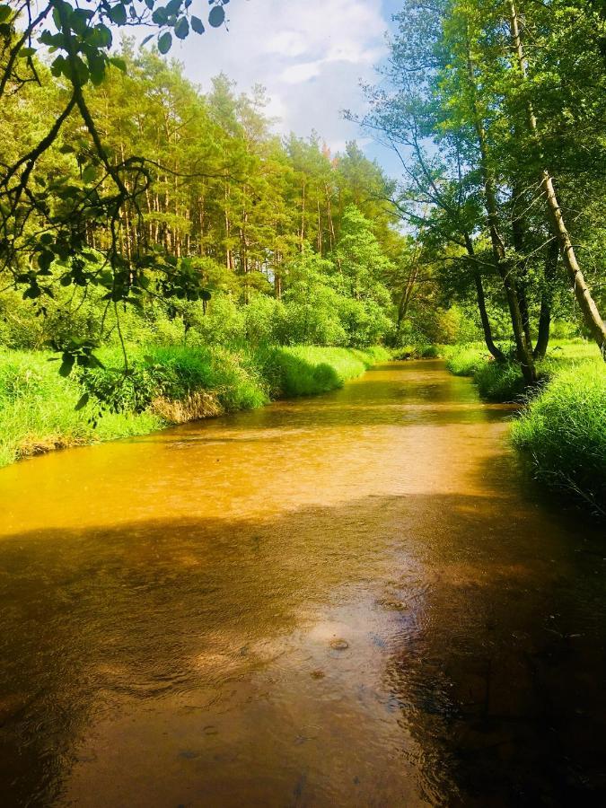 Villa Nad Czarna Sielpia Wielka Esterno foto